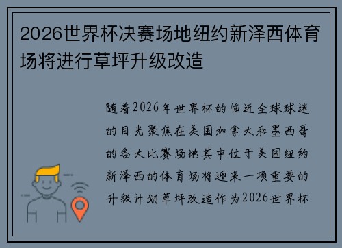 2026世界杯决赛场地纽约新泽西体育场将进行草坪升级改造