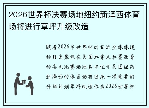 2026世界杯决赛场地纽约新泽西体育场将进行草坪升级改造